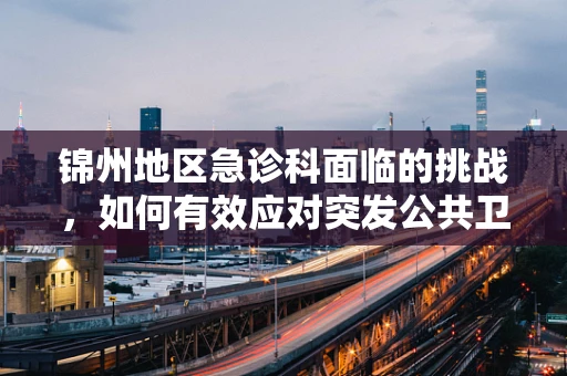 锦州地区急诊科面临的挑战，如何有效应对突发公共卫生事件？