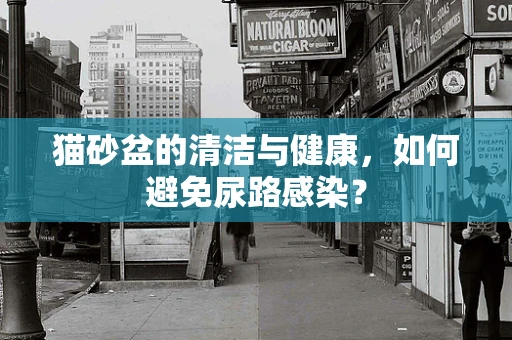 猫砂盆的清洁与健康，如何避免尿路感染？