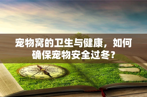 宠物窝的卫生与健康，如何确保宠物安全过冬？