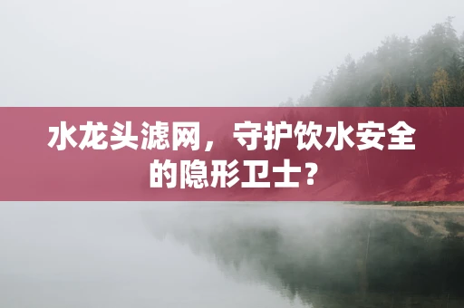 水龙头滤网，守护饮水安全的隐形卫士？