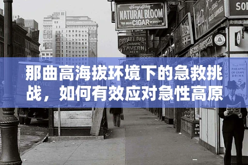 那曲高海拔环境下的急救挑战，如何有效应对急性高原反应？