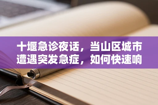 十堰急诊夜话，当山区城市遭遇突发急症，如何快速响应？