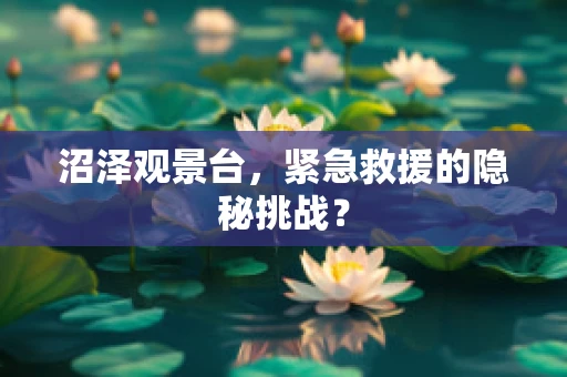 沼泽观景台，紧急救援的隐秘挑战？