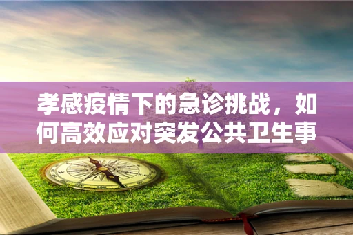 孝感疫情下的急诊挑战，如何高效应对突发公共卫生事件？