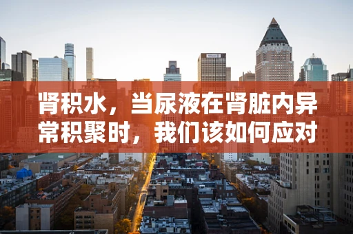 肾积水，当尿液在肾脏内异常积聚时，我们该如何应对？