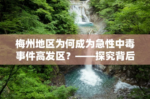 梅州地区为何成为急性中毒事件高发区？——探究背后的公共卫生挑战