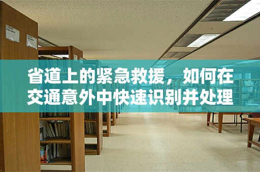 省道上的紧急救援，如何在交通意外中快速识别并处理伤者？