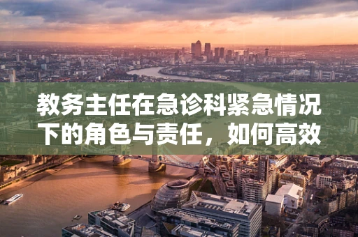 教务主任在急诊科紧急情况下的角色与责任，如何高效协调资源？