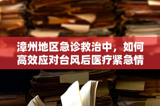 漳州地区急诊救治中，如何高效应对台风后医疗紧急情况？