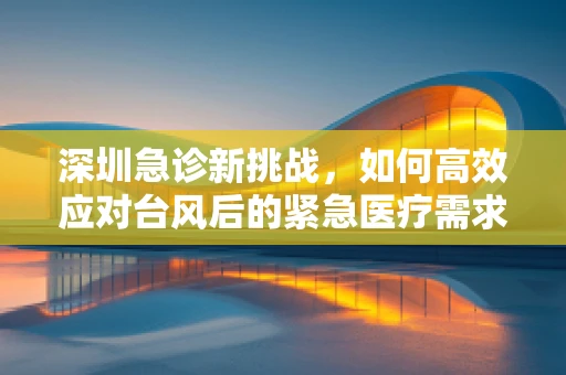 深圳急诊新挑战，如何高效应对台风后的紧急医疗需求？