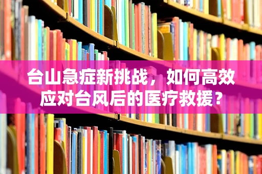 台山急症新挑战，如何高效应对台风后的医疗救援？