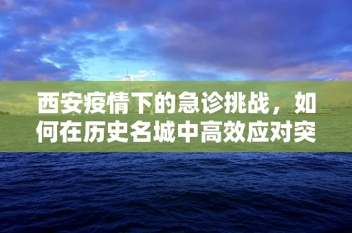 西安疫情下的急诊挑战，如何在历史名城中高效应对突发医疗状况？