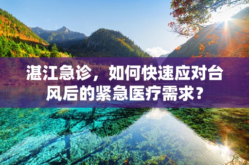 湛江急诊，如何快速应对台风后的紧急医疗需求？