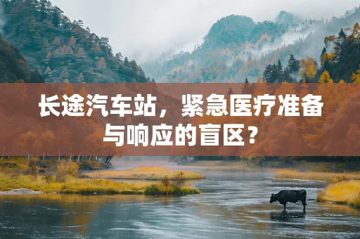 长途汽车站，紧急医疗准备与响应的盲区？