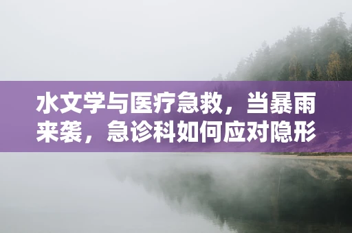 水文学与医疗急救，当暴雨来袭，急诊科如何应对隐形的洪水？