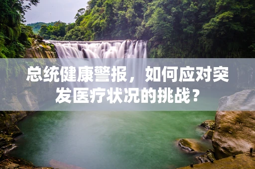 总统健康警报，如何应对突发医疗状况的挑战？