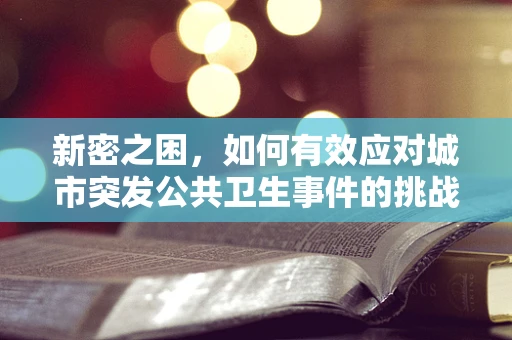 新密之困，如何有效应对城市突发公共卫生事件的挑战？