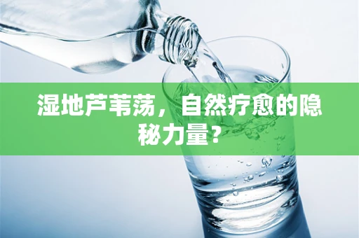 湿地芦苇荡，自然疗愈的隐秘力量？