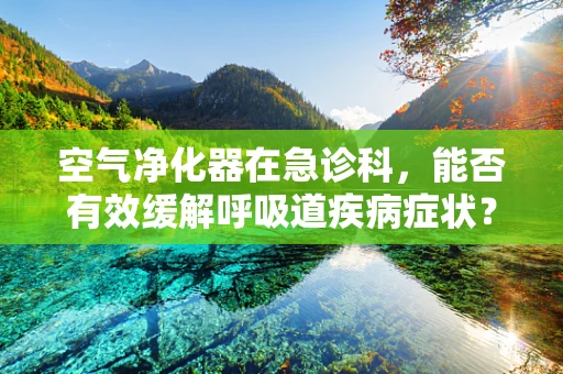 空气净化器在急诊科，能否有效缓解呼吸道疾病症状？