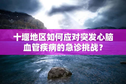 十堰地区如何应对突发心脑血管疾病的急诊挑战？