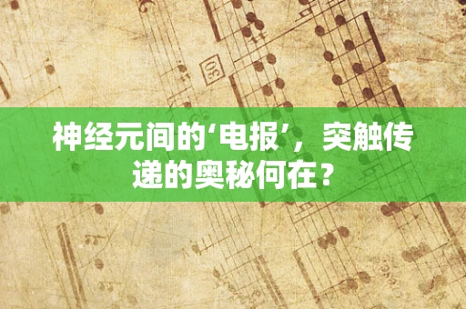 神经元间的‘电报’，突触传递的奥秘何在？