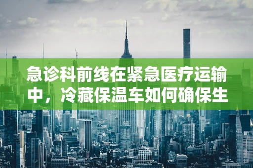 急诊科前线在紧急医疗运输中，冷藏保温车如何确保生命之链不断？