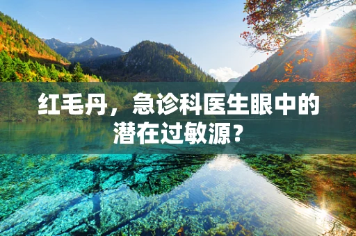 红毛丹，急诊科医生眼中的潜在过敏源？