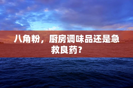 八角粉，厨房调味品还是急救良药？