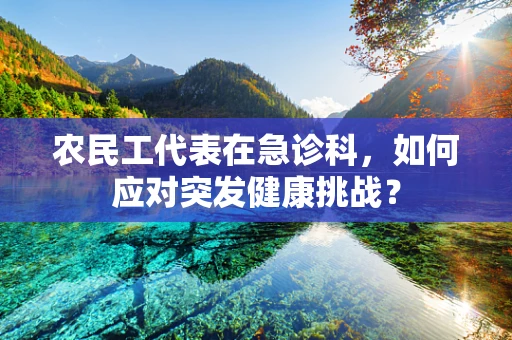 农民工代表在急诊科，如何应对突发健康挑战？