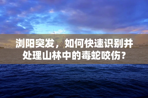 浏阳突发，如何快速识别并处理山林中的毒蛇咬伤？