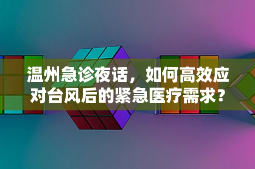 温州急诊夜话，如何高效应对台风后的紧急医疗需求？