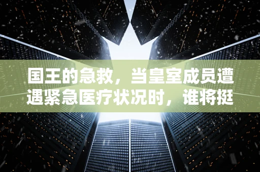 国王的急救，当皇室成员遭遇紧急医疗状况时，谁将挺身而出？