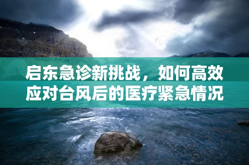 启东急诊新挑战，如何高效应对台风后的医疗紧急情况？