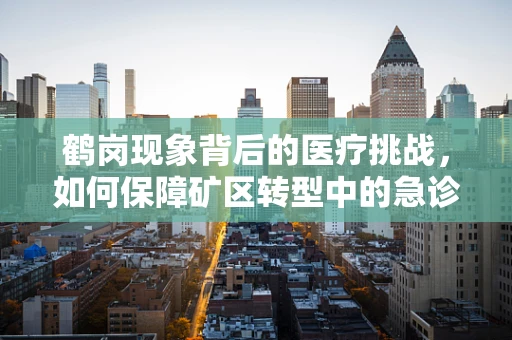 鹤岗现象背后的医疗挑战，如何保障矿区转型中的急诊医疗服务？