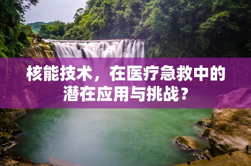 核能技术，在医疗急救中的潜在应用与挑战？