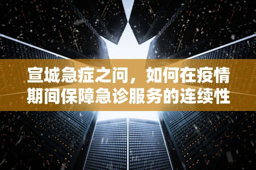 宣城急症之问，如何在疫情期间保障急诊服务的连续性？