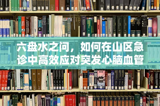 六盘水之问，如何在山区急诊中高效应对突发心脑血管疾病？