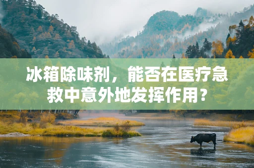 冰箱除味剂，能否在医疗急救中意外地发挥作用？