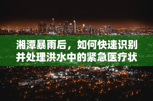 湘潭暴雨后，如何快速识别并处理洪水中的紧急医疗状况？