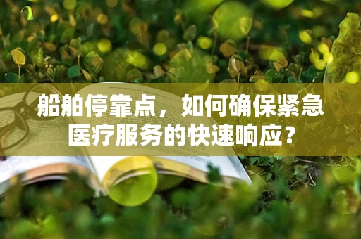 船舶停靠点，如何确保紧急医疗服务的快速响应？