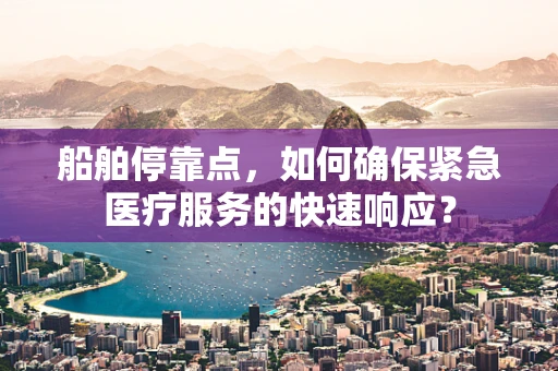 船舶停靠点，如何确保紧急医疗服务的快速响应？