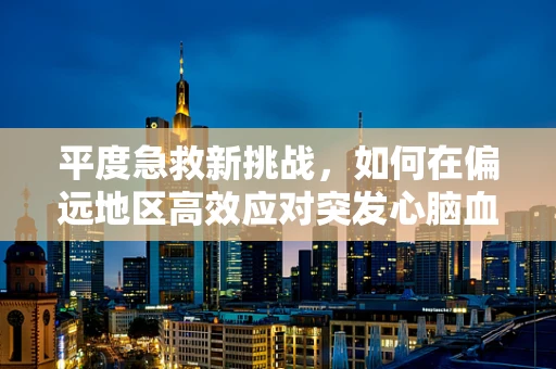 平度急救新挑战，如何在偏远地区高效应对突发心脑血管疾病？