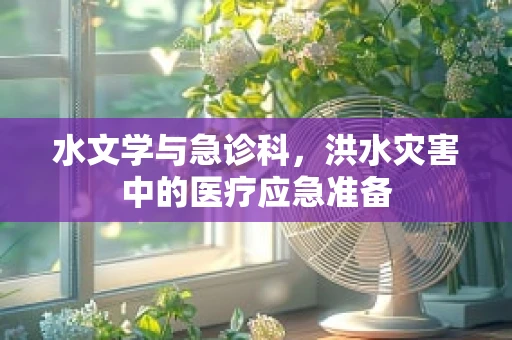 水文学与急诊科，洪水灾害中的医疗应急准备