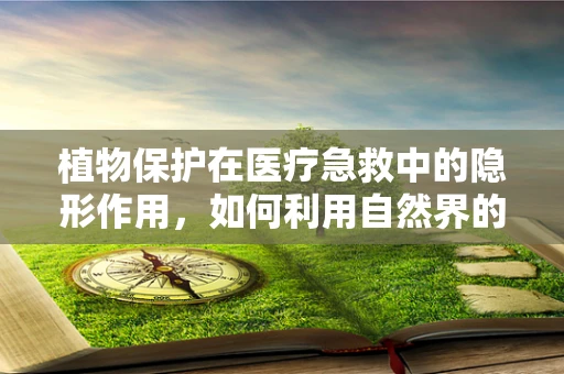 植物保护在医疗急救中的隐形作用，如何利用自然界的‘治愈者’？