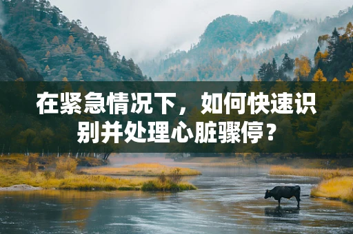 在紧急情况下，如何快速识别并处理心脏骤停？