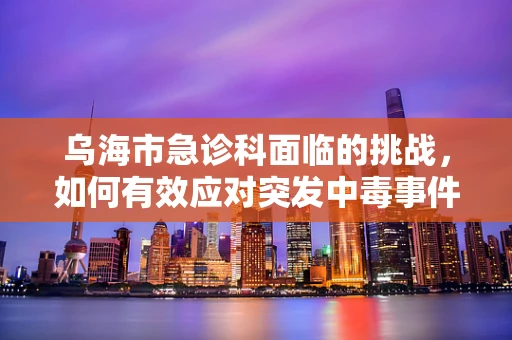 乌海市急诊科面临的挑战，如何有效应对突发中毒事件？