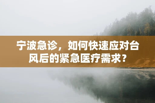 宁波急诊，如何快速应对台风后的紧急医疗需求？