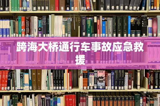 跨海大桥通行车事故应急救援