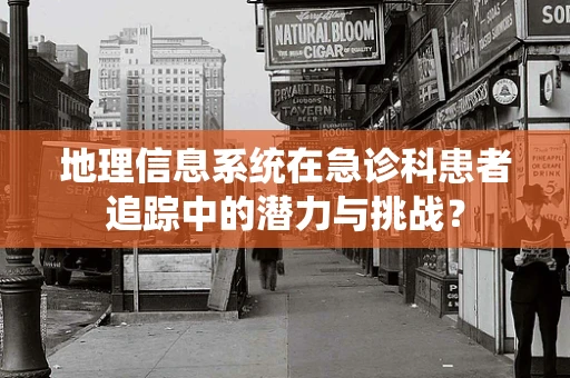 地理信息系统在急诊科患者追踪中的潜力与挑战？