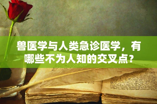 兽医学与人类急诊医学，有哪些不为人知的交叉点？